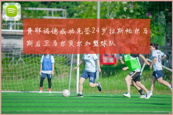 费耶诺德成功免签24岁拉斯帕尔马斯后卫马尔莫尔加盟球队